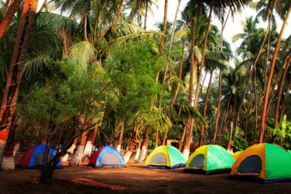 Alibaug Beach Camp B