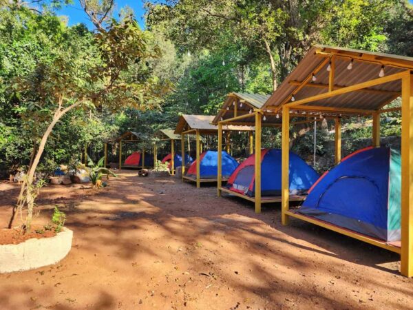 Matheran Forest Camping- Camp B 02