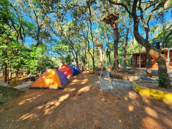 Matheran Forest Camping- Camp B 12